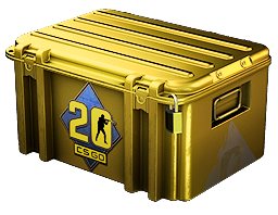 case image