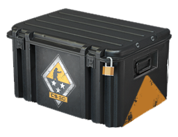 case image