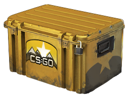 case image