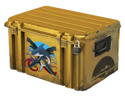 case image