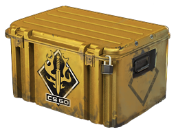 case image